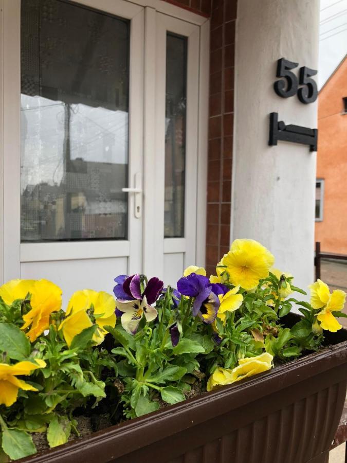 Krin Apartman Subotica Exterior photo